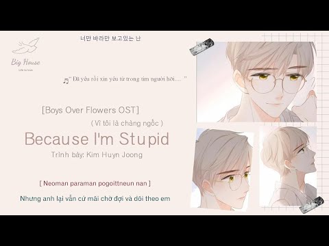 Kim Huyn Joong - Because I'm Stupid