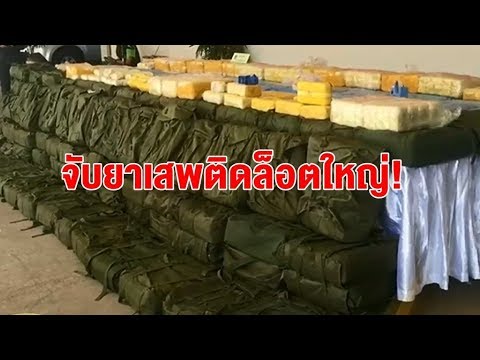 วิธีการที่จะเพิ่มความแรงของวิลโลว์-สมุนไพร เบต้าอัพความแรง