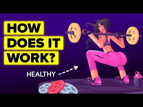 How Does The Immune System Actually Work?