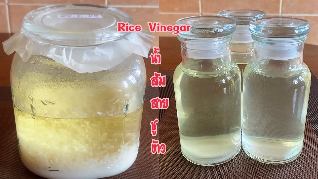 น้ำส้มสายชูข้าว How to make rice vinegar