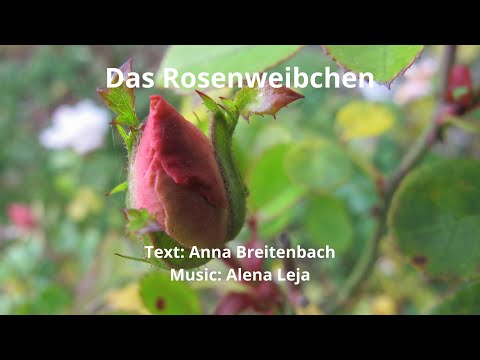 Das Rosenweibchen || Text: Anna Breitenbach, Music: Alena Leja