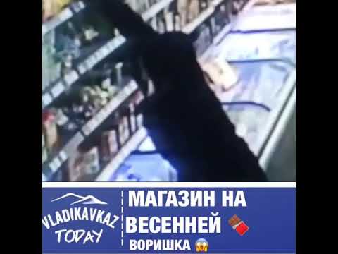 Магазин На Весенней Улице Магазин На Весенней Улице