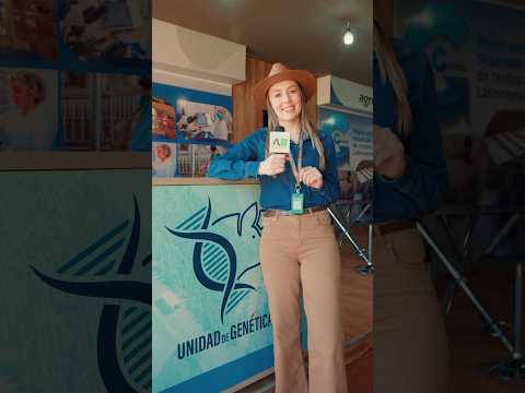 🐄 Sector Pecuario – Agrodinámica 2025