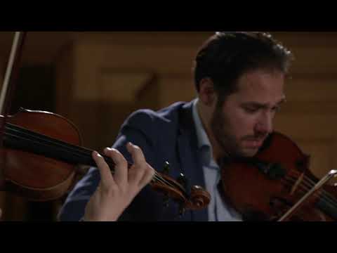 Matangi Quartet - Let the trees speak - Oene van Geel | #90Seconds