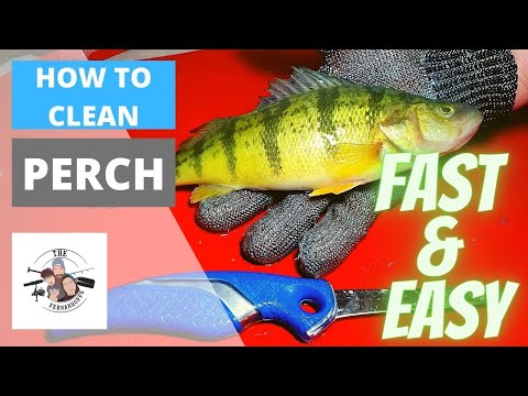 How to clean Perch - Fast and Easy!