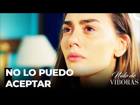 Ayúdame, Por Favor - Nido De Víboras Capitulo 8 (Dobladas en Español)