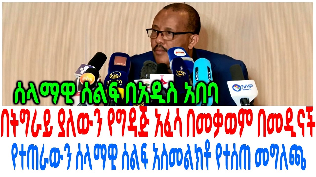 በትግራይ ያለውን የግዳጅ አፈሳ በመቃወም በመዲናች የተጠራውን ሰላማዊ ሰልፍ አስመል?