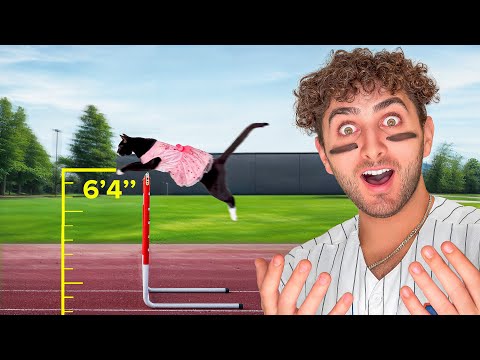 I Tried to Beat My Cat in EVERY Athletic Challenge…