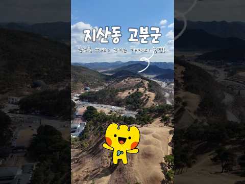 능선을 따라 흐르는 가야의 숨결, 세계유산 지산동 고분군 #고령군sns기자단 홍우석