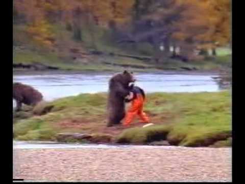 Spot del salmone... lotta tra uomo e orso