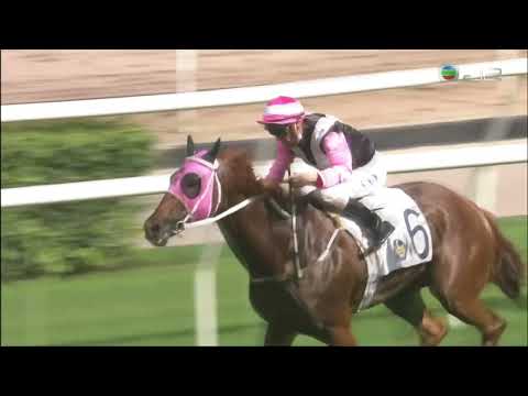 2022 The Lion Rock Trophy G3  - Beauty Joy (美麗同享) - Z.Purton