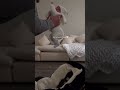 My miracle baby 👼🏼 #videoshort #2024 #viral #baby #youtuber #love #miracleboy