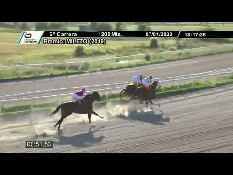 230107 c06 - FAMA DE SEÑOR - HIPODROMO LAS PIEDRAS