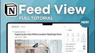 Notion's NEW Feed View Database | Use Cases & Full Tutorial
