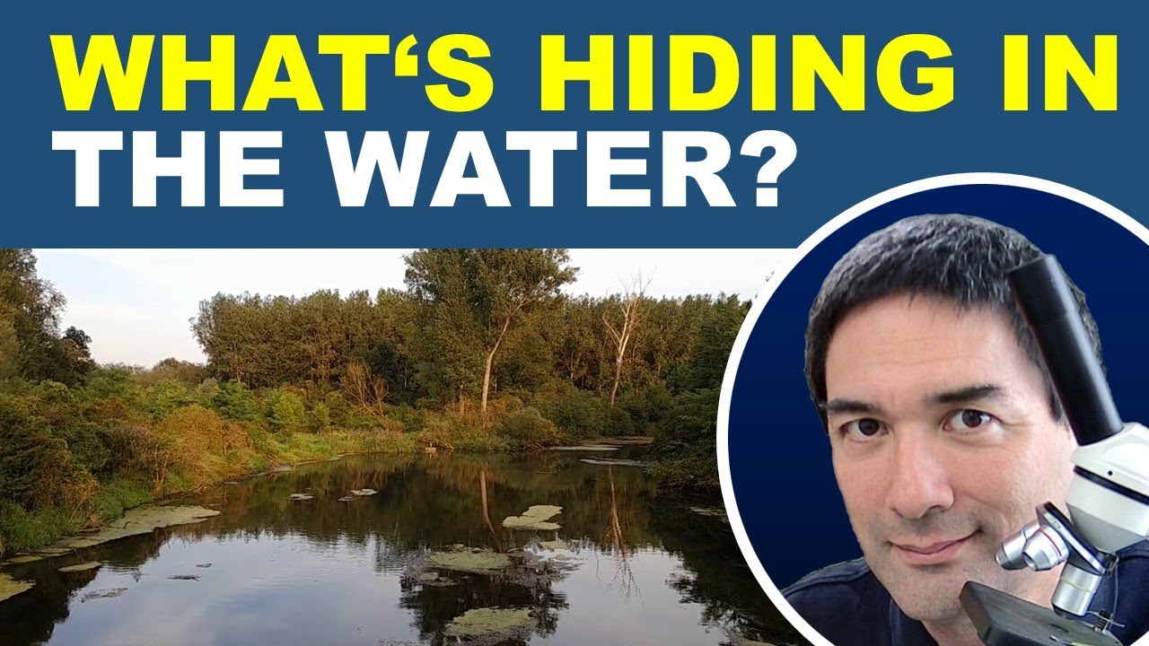 Live Microscopy: Discovering Microorganisms in 5 Water Samples