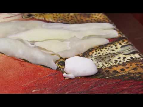 Mulher.com - 20/06/2016 - Caixa com decoupagem em relevo - Laís Mei