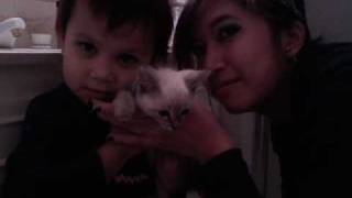 horrorpops everything everythings [ellie&#39;s lovely life]