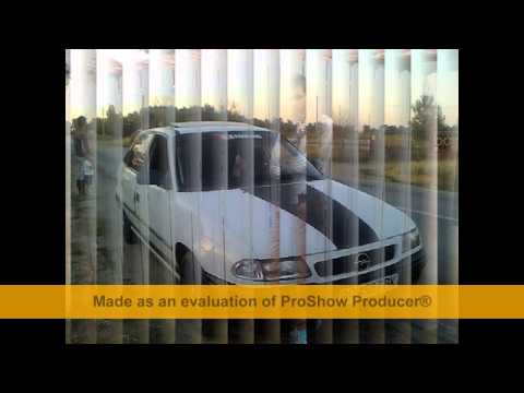 stelica pustiu - la mine in buletin ''Zavelcuta video& timy''''avi