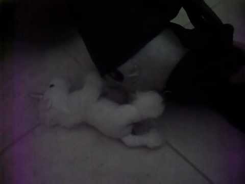 Voldemort Drinking a Unicorn's Blood