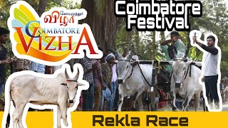 Bull Race Challenge  Rekla Race inTamilnadu  Tamil