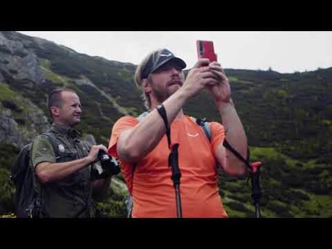 Dzikim Okiem – świstaki z tatrzańskich hal