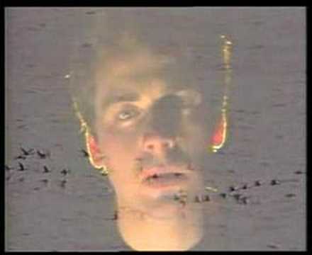 The Chills - Pink Frost