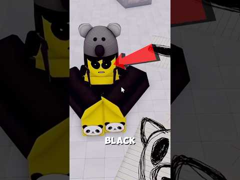 Yoocary and Kalewhods