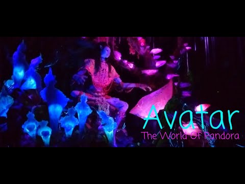 4K⚡ *BEST AVATAR LAND BOAT RIDE NA'VI RIVER JOURNEY PANDORA DISNEY ANIMAL KINGDOM
