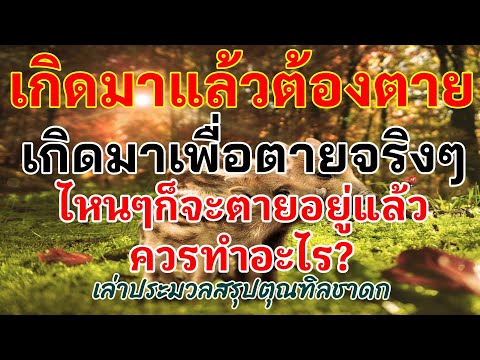 คลิกเพื่อดูคลิปวิดีโอ