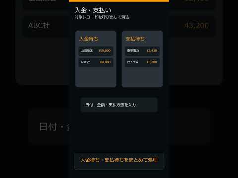 しゃべって帳簿 かるく帳 video thumbnail