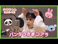 Nonochan Nonoka Murakata Panda Usagi Koala