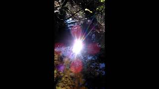 Swordfish swordfish by alastair galbraith