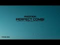 King Promise - Perfect Combi (Visualizer) | f.t Gabzy