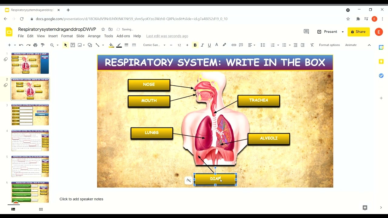 The Respiratory System: Drag & Drop Worksheet: Google Slides.Powerpoint. Teacherspayteachers.Tpt