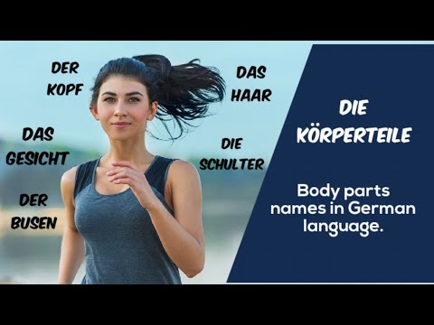 Learn German Vocabulary | Body parts in German Language | der Körperteil | die Körperteile | A1 |