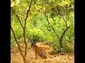 Animal shorts #animal short video# Discovery# Discovery zone# animal planet#man vs wild ZONE FANNo