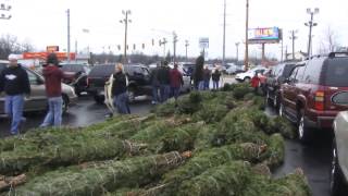 preview picture of video 'Preferred Auto Christmas Tree Give Away - 2012'
