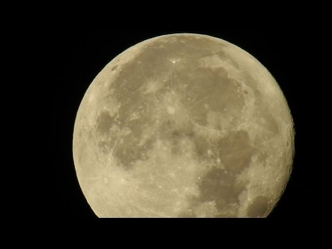 Nikon P900 - luneta w aparacie.