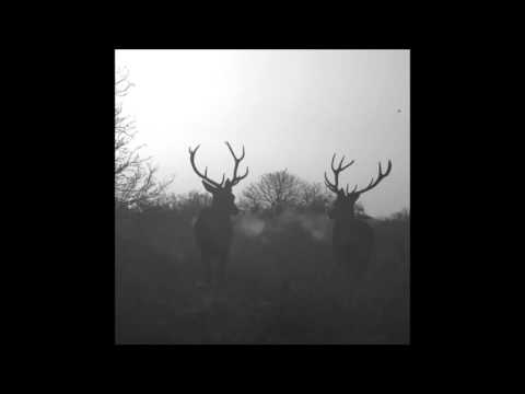 Sīpoli - (Mīlestību - spožu un īsu, šķiroties dāvini man...) Šķiršanās blūzs