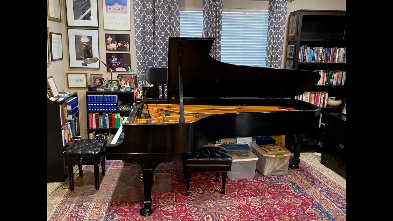 Promotional video thumbnail 1 for Benjamin Loeb, Classical Pianist