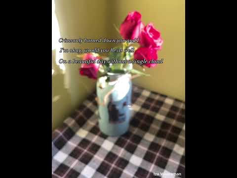 FLOWER Song by Jisoo #izaweeraman #srilanka #flowers #redrose #roses #redroseflower