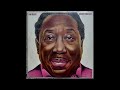 Muddy Waters – Copper Brown