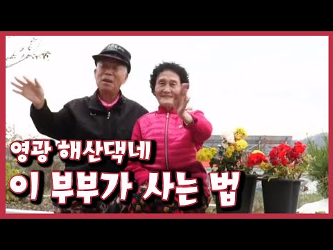20.11.10 광주KBS 남도지오그래피(영광 해산댁네 이 부부가 사는법)
