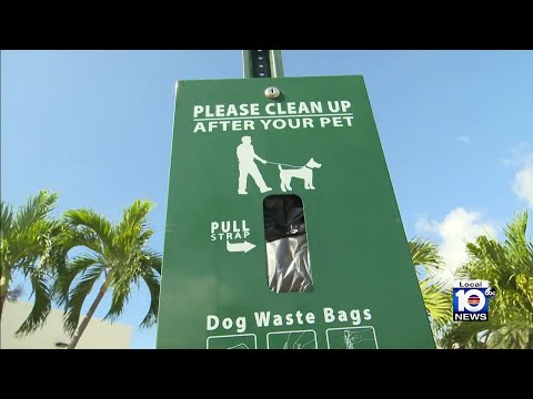 Pet Waste: A Major Contributor to Water Pollution