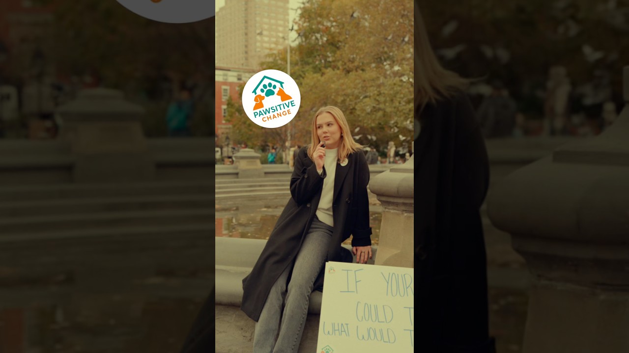 NYC Street Interviews! Part 2 