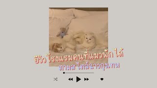 #catvlogꊞ˖*ˑ cat vlog⋆｡˚🪞⌇ยีวิวโรงแรมคนที่แมวพักได้ในกรุงเทพฯ