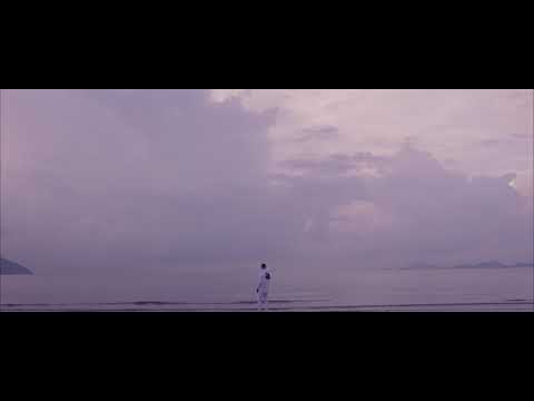 Video thumbnail for Птицы (Birds)