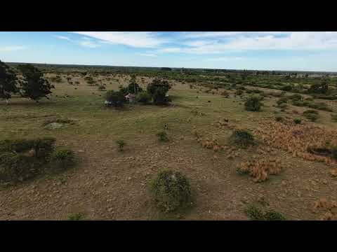 Venta de 25 Has. en Mercedes - Corrientes