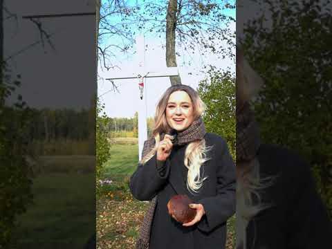 Es gaidu ziemu - Triānas Parks BTS