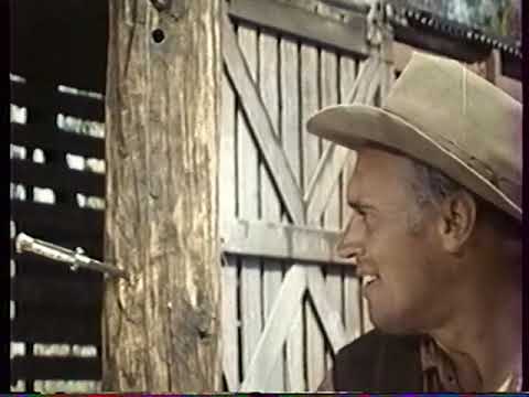 A het mesterlovesz 1960 HUN SECAM TVRIP READNFO x264 X911